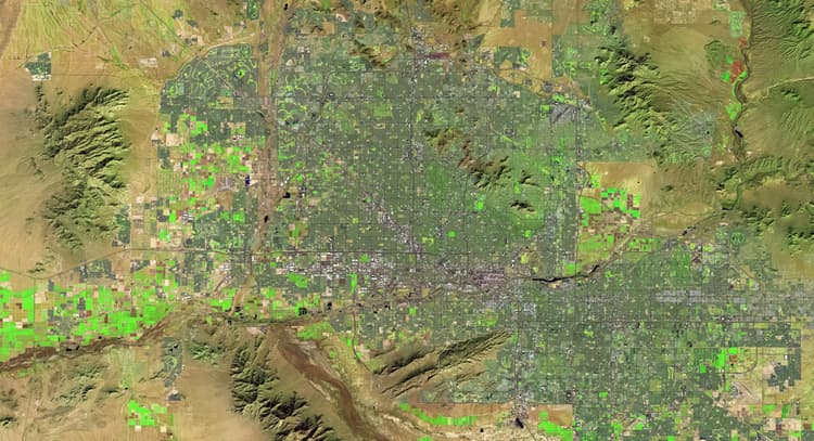 livesession | How to become a Profitable Crypto Miner